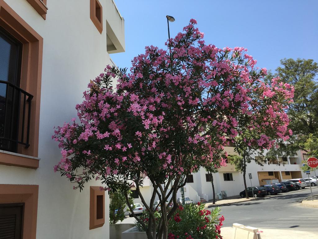 Lovely Beach Apartment Bellavista Albufeira Buitenkant foto
